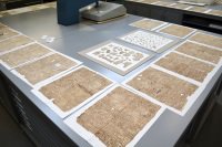 Pages laid out in conservation studio