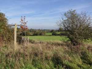 Footpath in Farnham