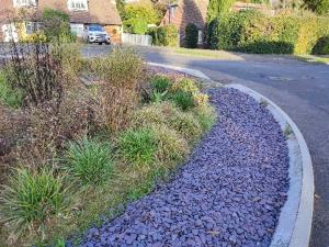 Rain garden adjacent to a road