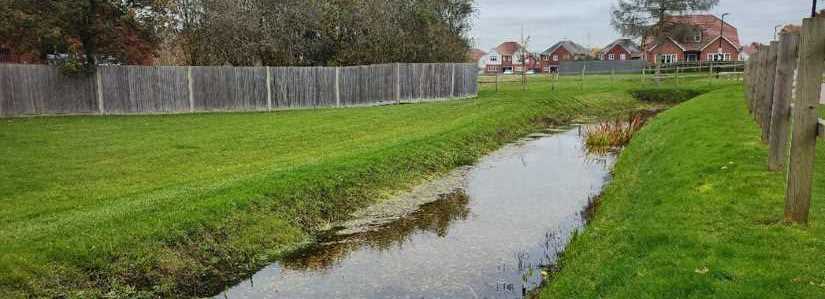 River walk at Fetcham