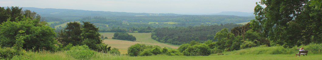 Newlands Corner viewpoint