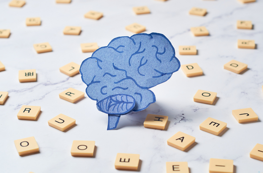 A drawing of a brain sits on a counter surrounded by scrabble letters