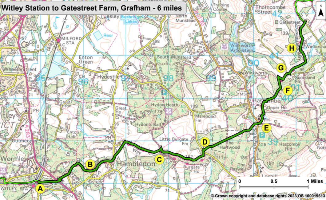 Greensand Way Map 3, from Witley Station to Gatestreet Farm. The directions for this walk are described on this webpage. Selecting the map opens a large version that can be saved to your device or printed.