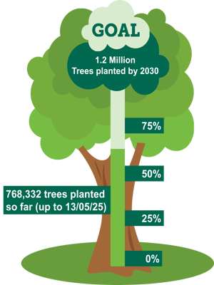 Infographic showing our tree planting progress as described in this section.