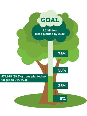 Infographic showing our tree planting progress as described in this section.