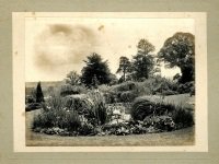 Thomas and Effie Farrer at Abinger Hall, 1899 (SHC ref 9609/1/3/29)