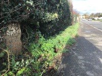 NE along Eastbourne Road towards South Godstone