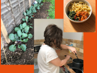 Collage of three small images - vegetables growing, Anna cooking and her cooked meal