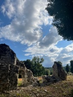 Ankerwycke Priory ruins