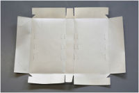 Limp vellum binding image 3