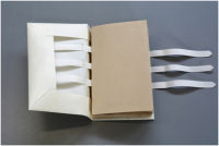 Limp vellum binding image 4