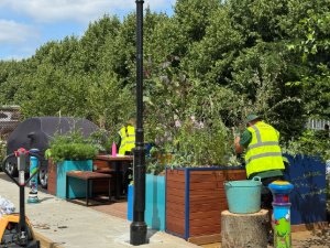 Planting at the walton garden