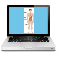 Body diagram on screen