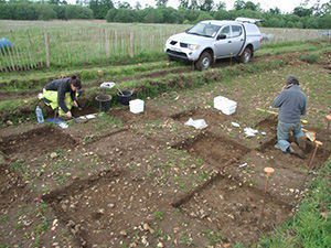 In situ scatter of flintwork thumbnail