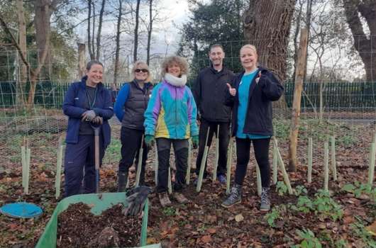 Tree planting volunteers