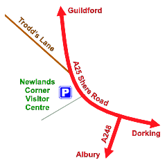 Newlands Corner map
