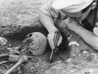 Skeleton being excavated 