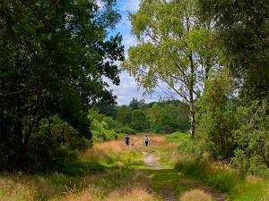 Two people walking on Chobham Common