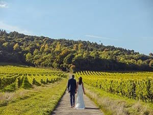 Denbies Wine Estate