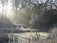 Frosty Morning' by Colin Kemp, from 'Words in Focus', 2016