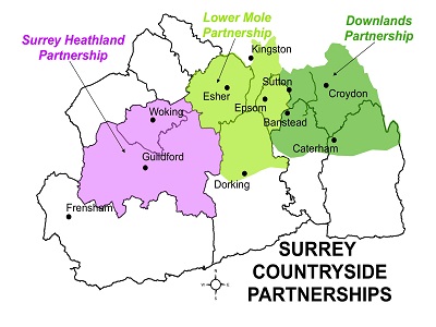 Map of the area covered by the Surrey Countryside Partnership showing Surrey Heathland Partnership in the west of the county, Lower Mole Partnership in the north and Downlands Partnership in the northeast.