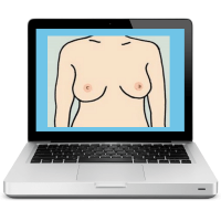 Breast anatomy on laptop