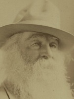 Link to a larger image of Walt Whitman by Napoleon Sarony