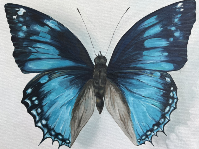 butterfly painting