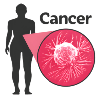 Zoom on cancer cell