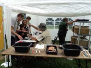 Looking at some of the discoveries from the Hogsmill Project