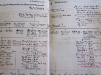 Pedigree of Woods Family entry in notebook HED_23_3