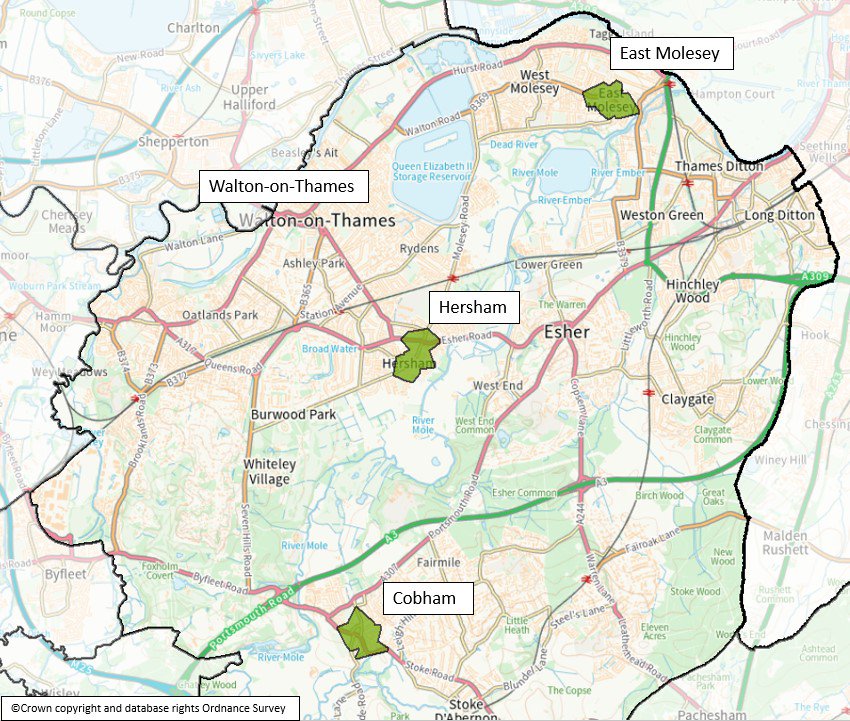 Elmbridge Phase 1 walking zones