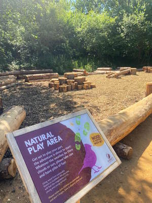 Natural play area at Young Street Car Park