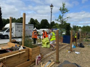 Construction of the rain garden