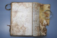  Document with water and mould damage