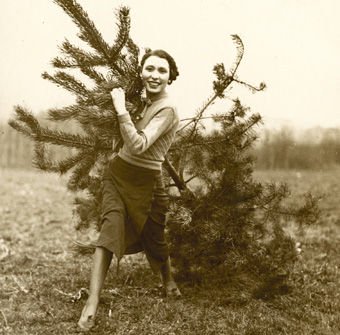 Bringing home the Tree'. Christmas tree harvest at Goldsworth Nurseries, Woking, c.1930. (Photograph by Photopress of Fleet Street). Surrey History Centre reference: 7562/7/2 (5). Reproduced by kind permission of Mrs Shirley Slocock.