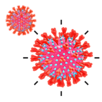 3D virus structure