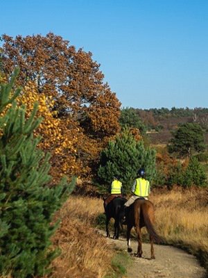 Horse riding in Chobham