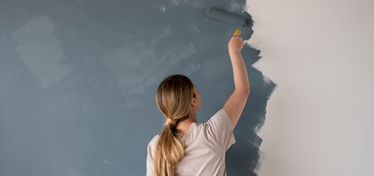 Give us a lick of paint - Surrey County Council
