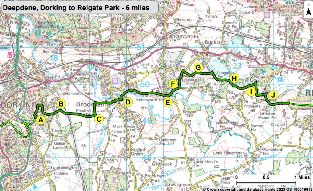 Greensand Way Map 7 from Deepdene, Dorking to Reigate Priory Park. The directions for this walk are described on this webpage. Selecting the map opens a larger version that can be saved to your device or printed.