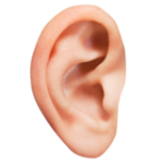 Photosymbol of an ear