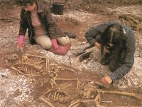 Excavations at Esso House of execution burials