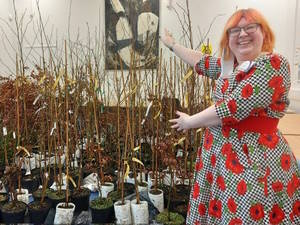 A volunteer showing off trees to be given away to local residents