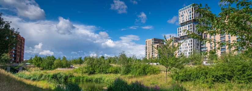 Kidbrooke Village