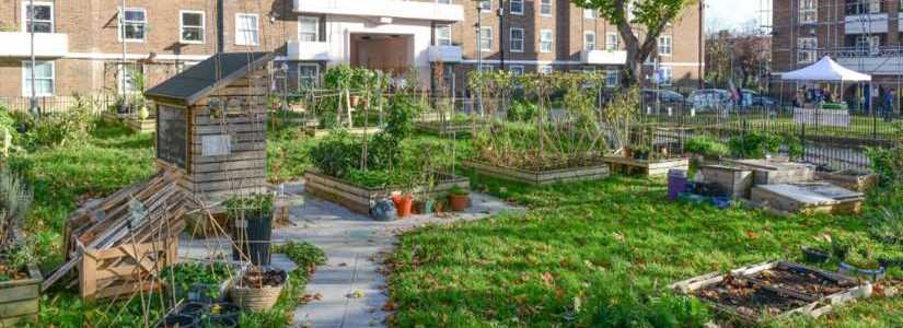 Allotments