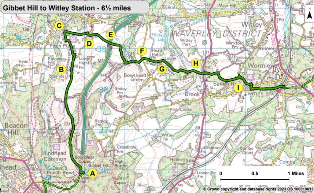 Greensand Way Map 2 from Gibbet Hill to Witley Station. The directions for this walk are described on this webpage. Selecting the map opens a larger version that can be saved to your device or printed.